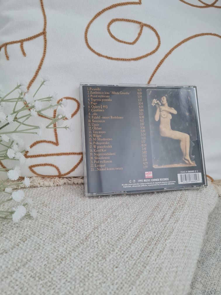 Świetliki - ogród koncentracyjny płyta CD