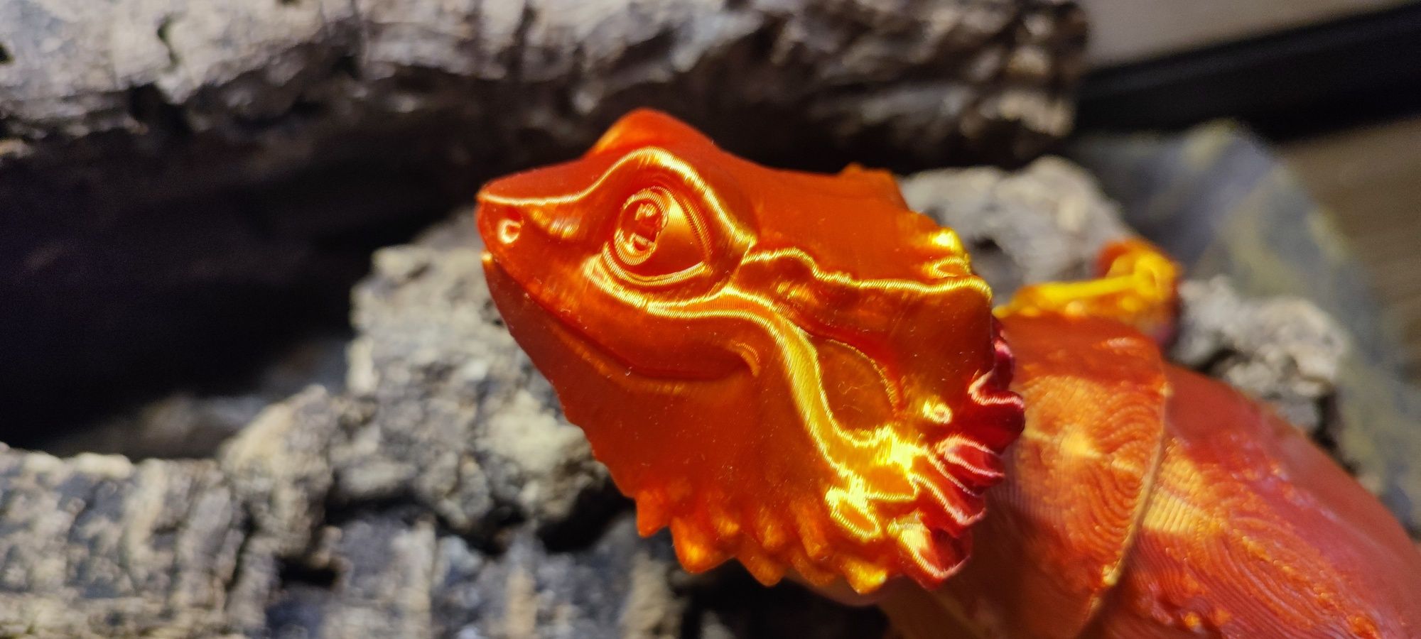 Agama Brodata wydruk 3D