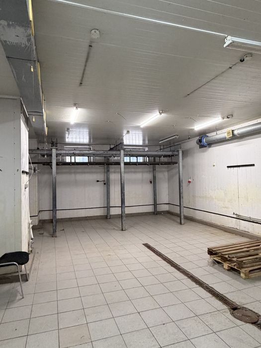 Оренда приміщення. Цех по виготовленню мʼясних/рибних полуфабрикатів.