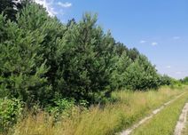 Продаж ділянки - 1ГА. Мальовниче місце. Ліс. Озеро. Проців, Жеребятин