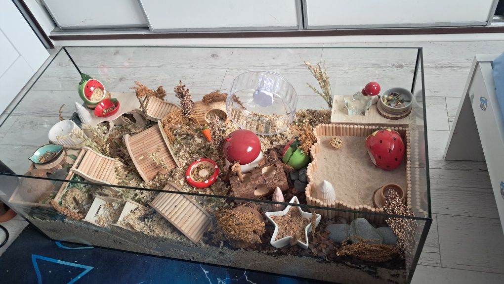 Akwarium 110x50 z pokrywą