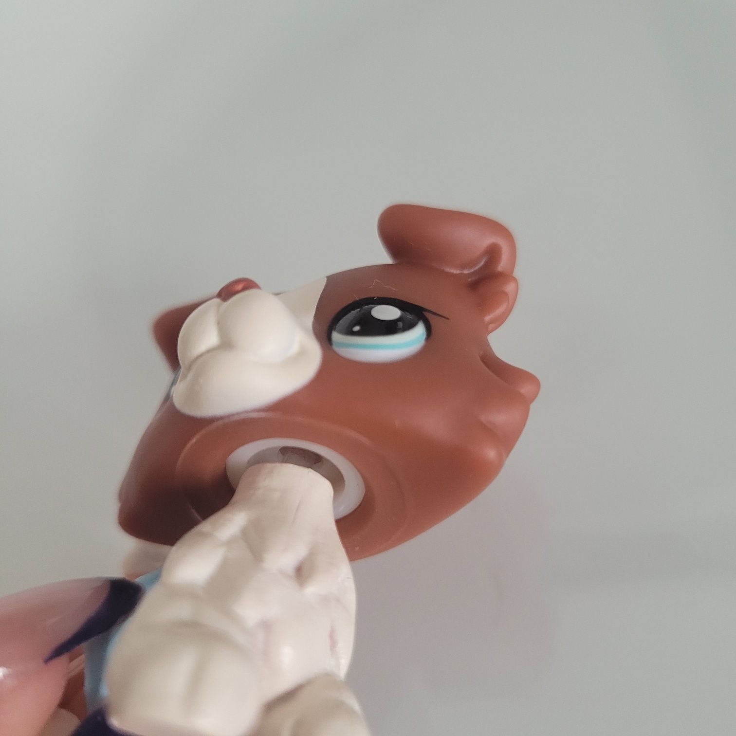Lps pop unikat collie #1542