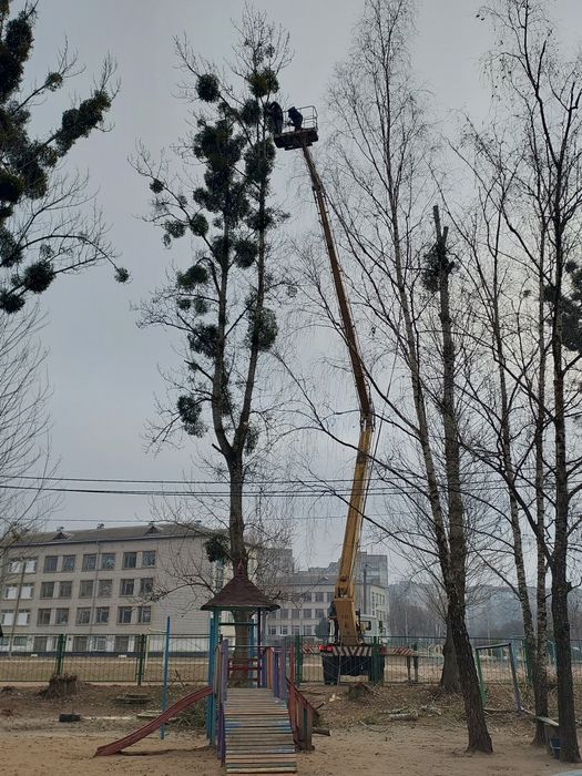 Порізка дерев і косіння трави