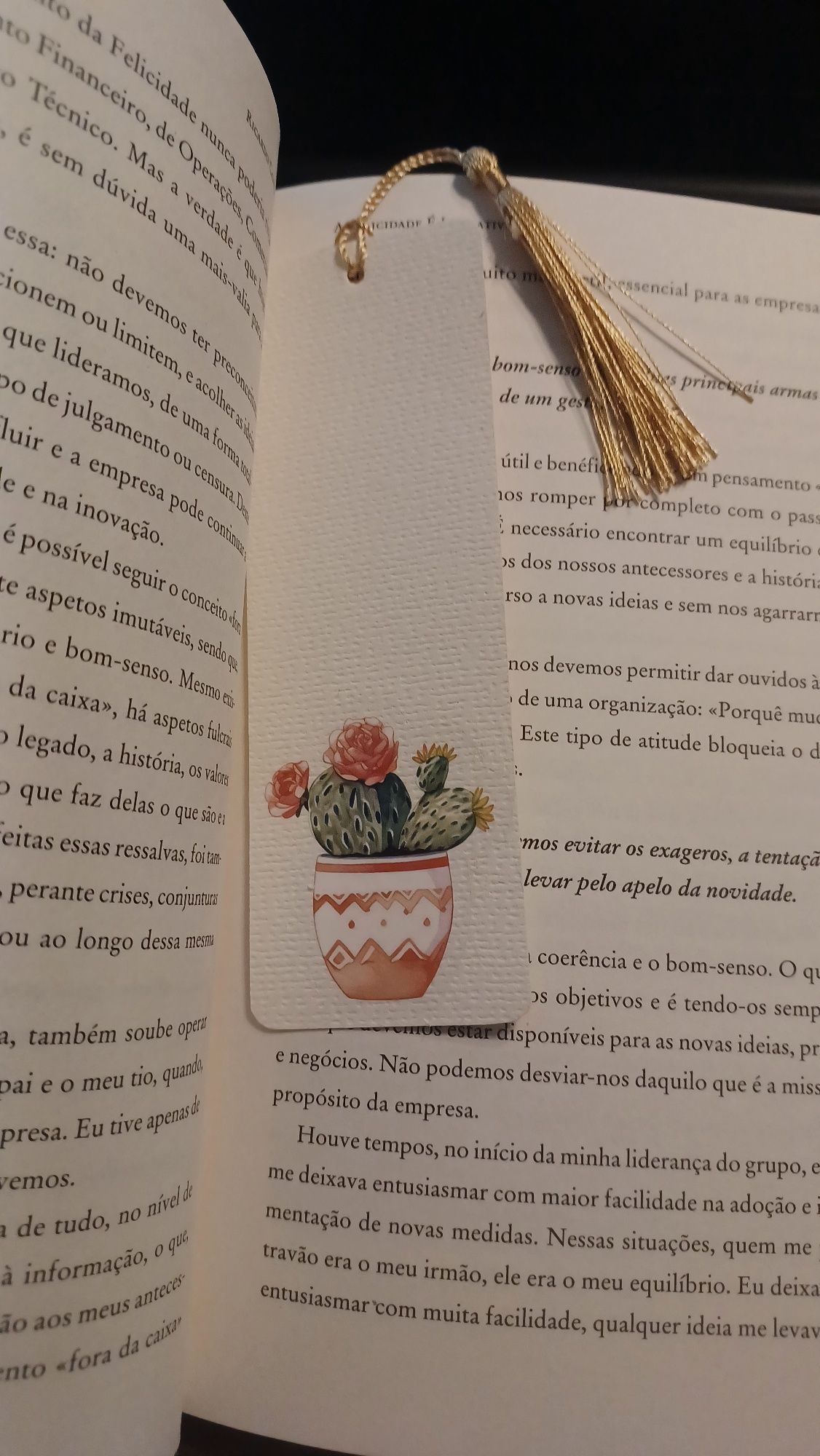 Marcadores de livros