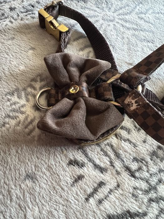 Luksusowe szelki guard dla psa Royal Puppy XS brązowe kolekcja Kylie