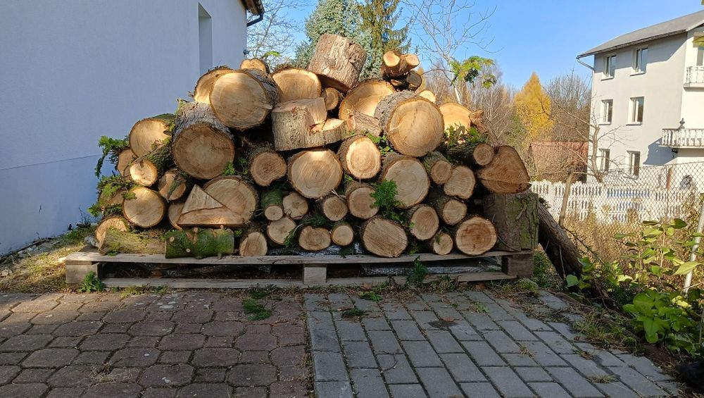 Drzewo opałowe iglaste grube