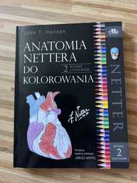 Anatomia Nettera do kolorowania