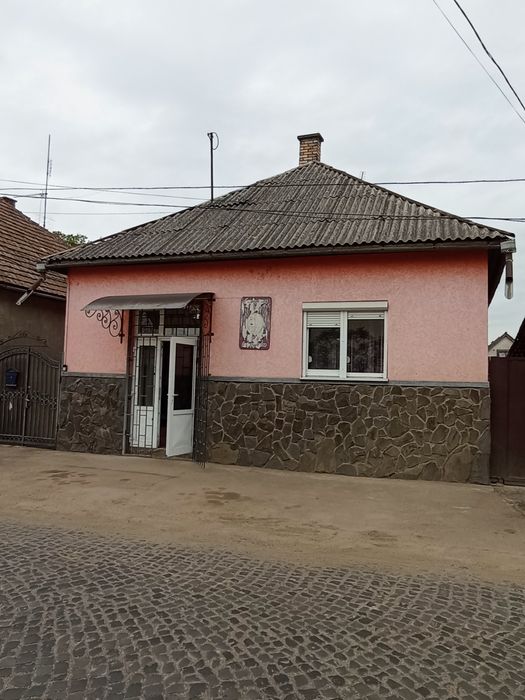 Будинковолодіння: комерція + житло 210 м2 Берегово Бако Габора 109