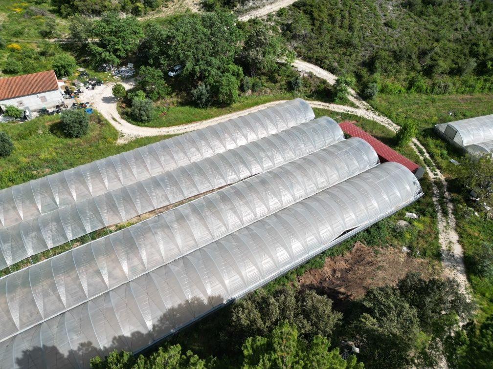 7000 metros quadrados de estufas para arrendar em Tomar