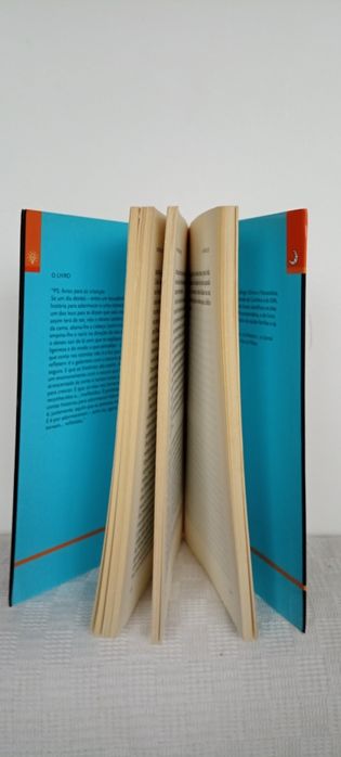 Livro Queremos Melhores País, Eduardo Sa