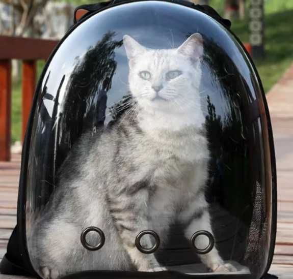 Transporter plecak dla kota, psa lub królika – torba, kojec, nosidełko