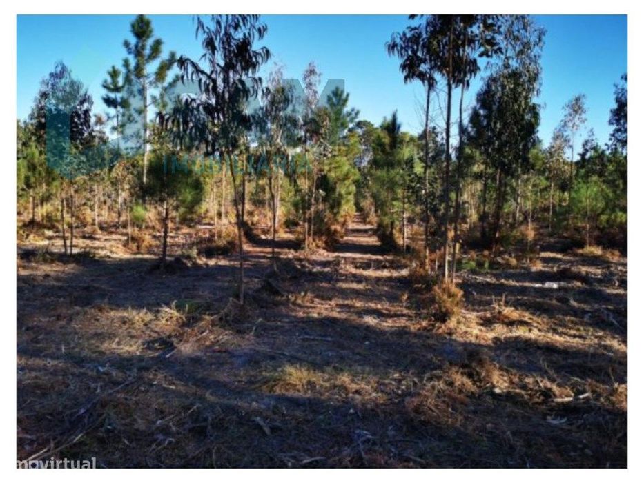 Terreno urbano para loteamento