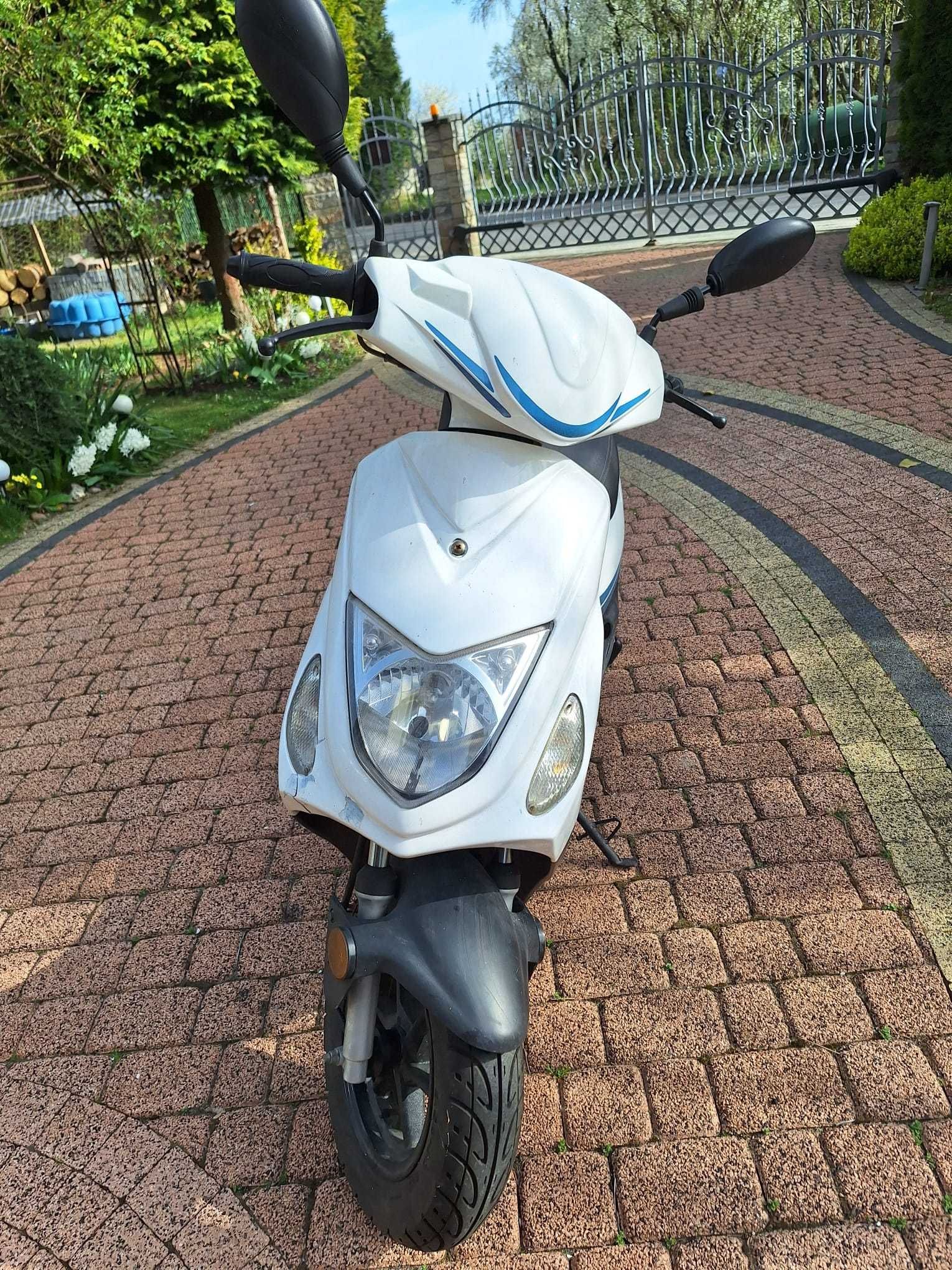 LONGJIA RENO 50cm 4T 2016r