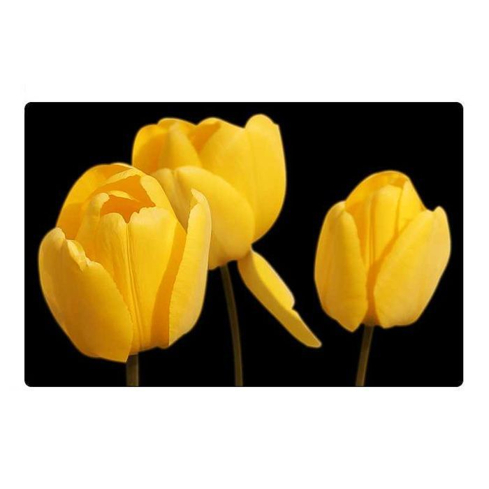 Magnes na lodówkę kwiaty żółte tulipany