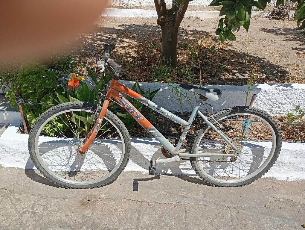 2 bicicletas usadas