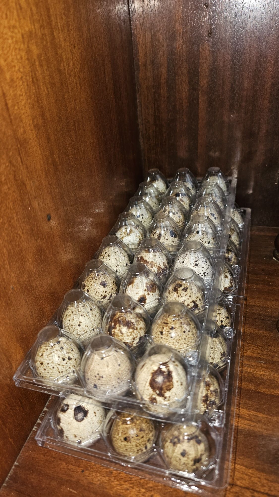 Ovos de codorniz caseiros para consumo