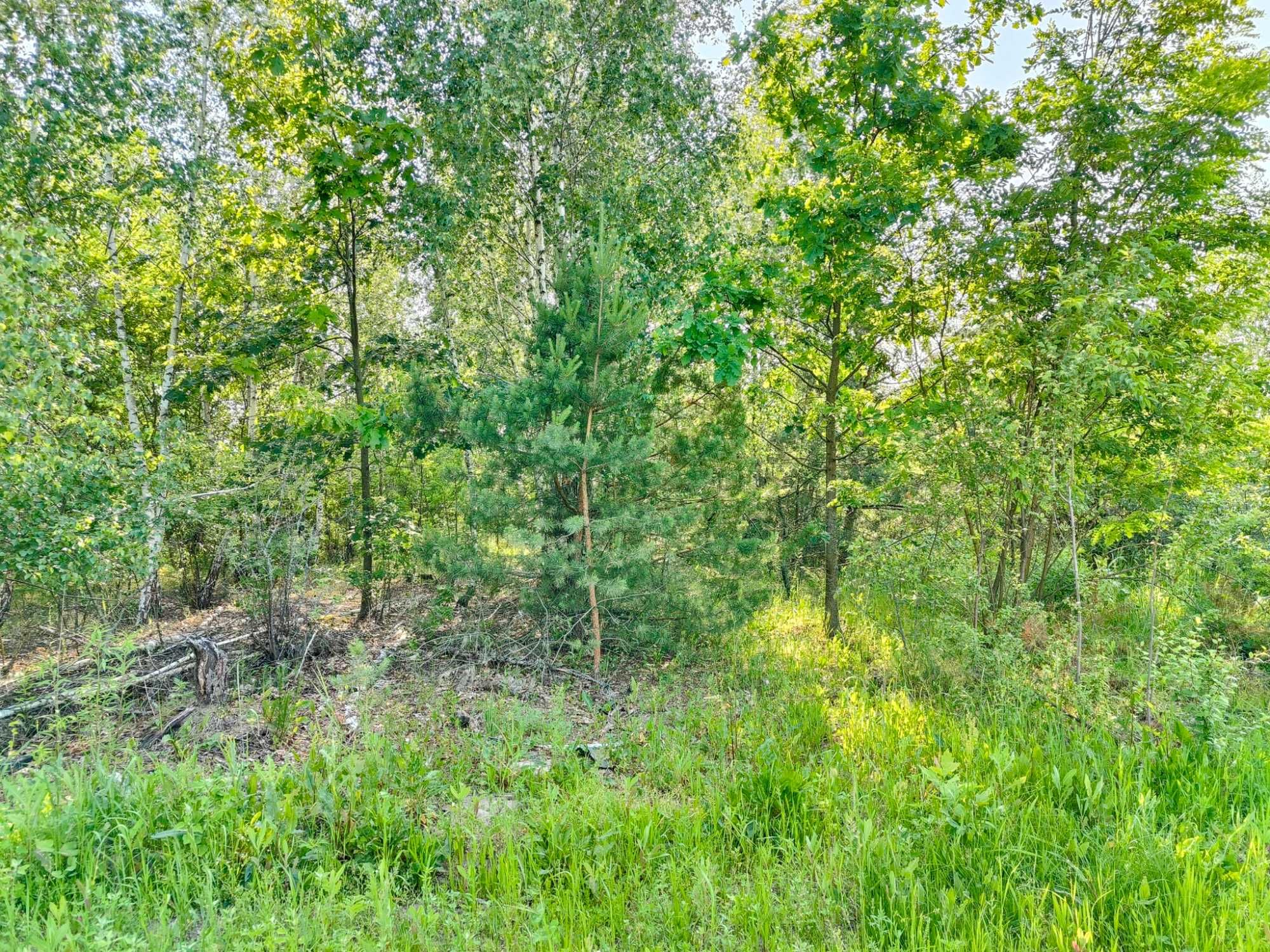 ПРОДАЖ 15 соток в обжитому районі | ДМИТРІВКА