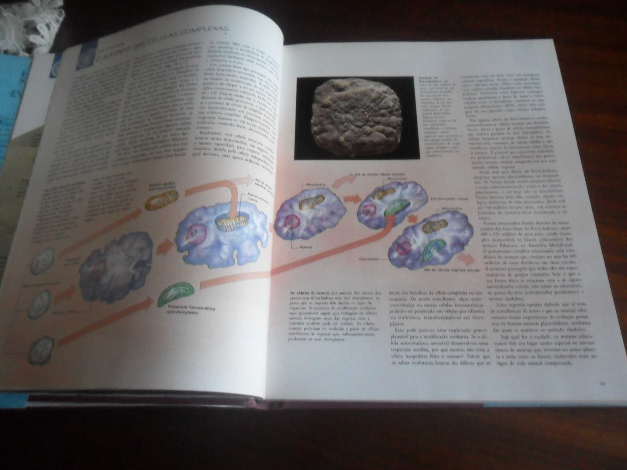 "História Natural da Evolução" de Philipe Whitfield - 1ª Edição 1994