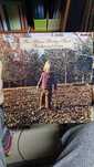 Discos vinil 5€/cada