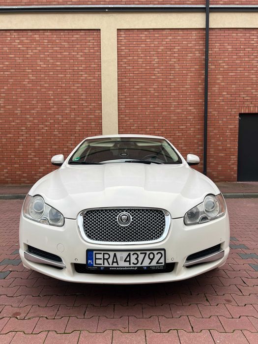 JAGUAR XF 3.0 DS Xenon Skóra Bezwypadkowy okazja