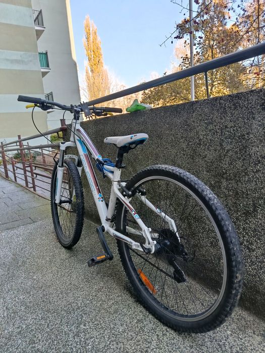 Rower mtb Genesis Zeta