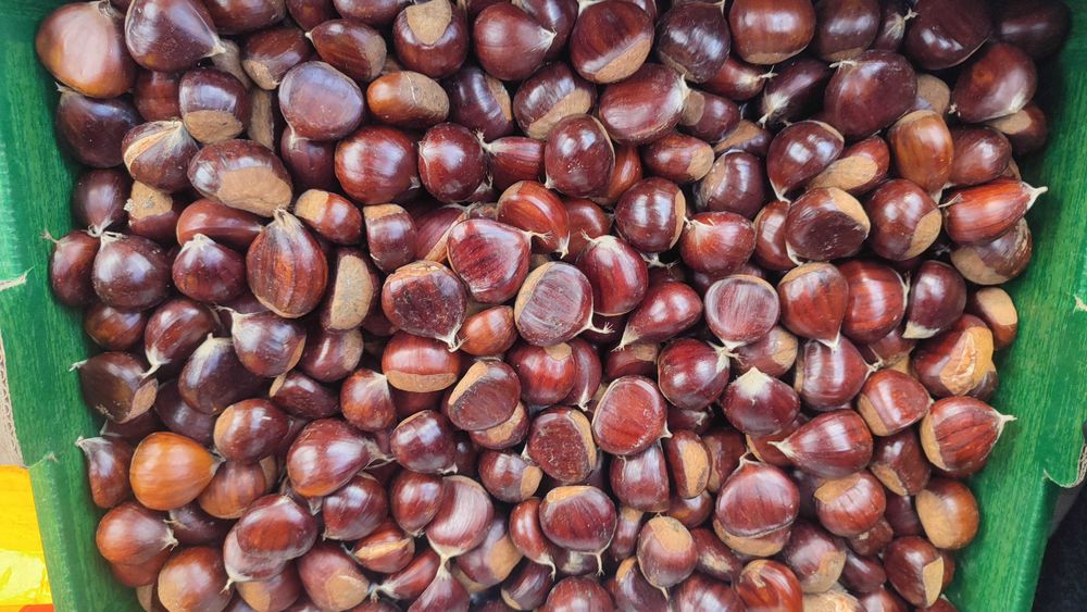 Castanha docinha
