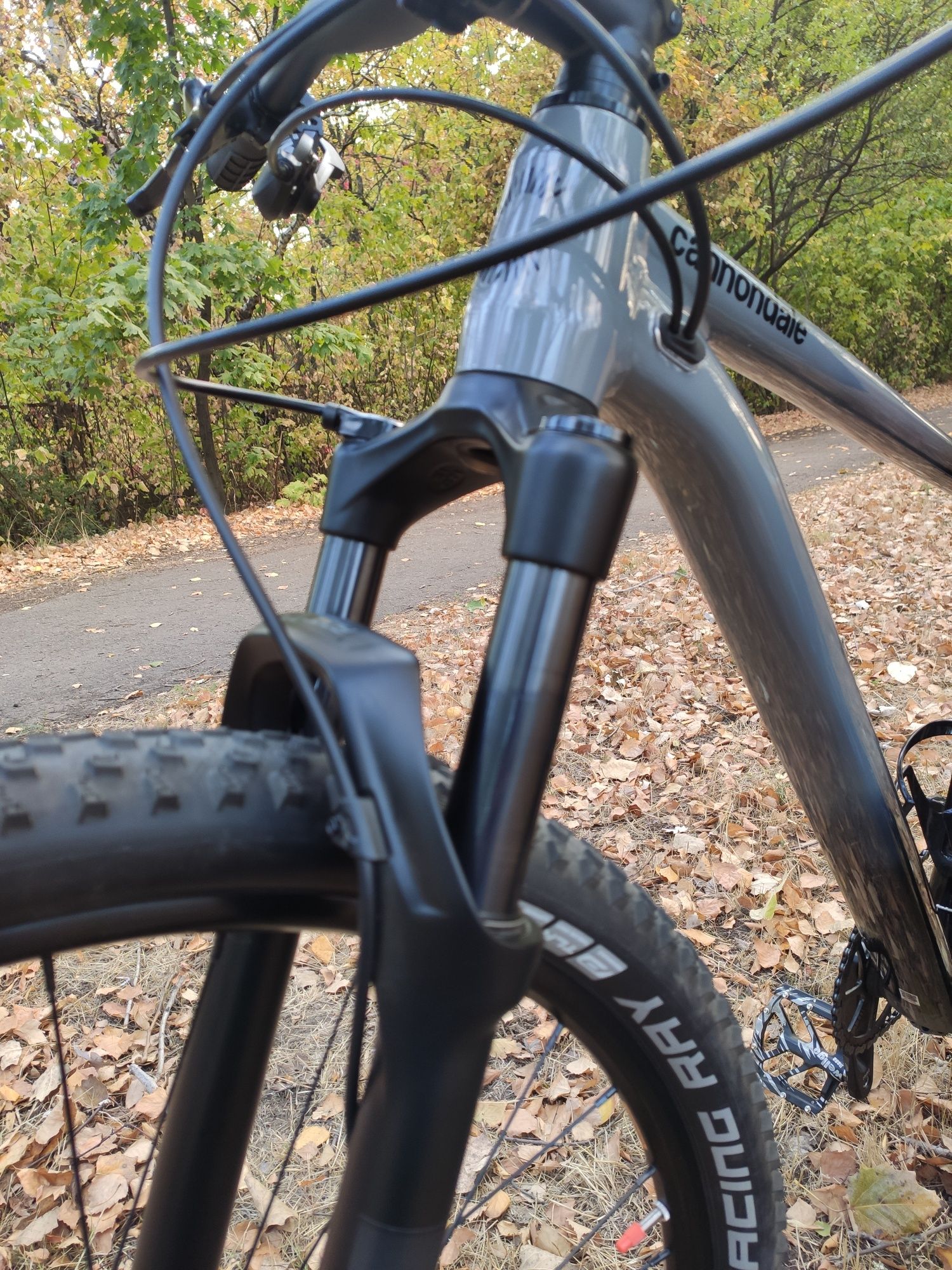 Саnnondale Trail SL 3