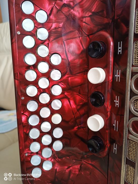 Maravilhosa Concertina  Honer com mala