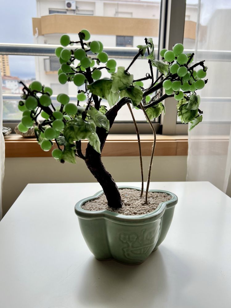 Bonsai de vidro com vaso cerâmica