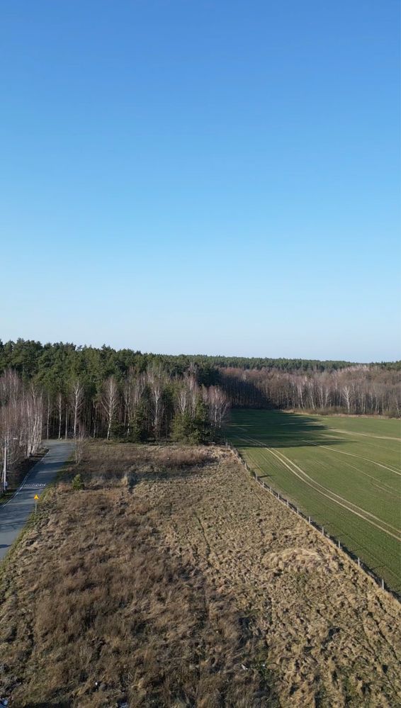 Działka Budowlana Rakowiec k/Kwidzyna 20 arów pod lasem
