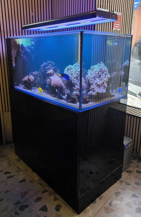 Aquário 130 cm x 70 cm x 60 cm