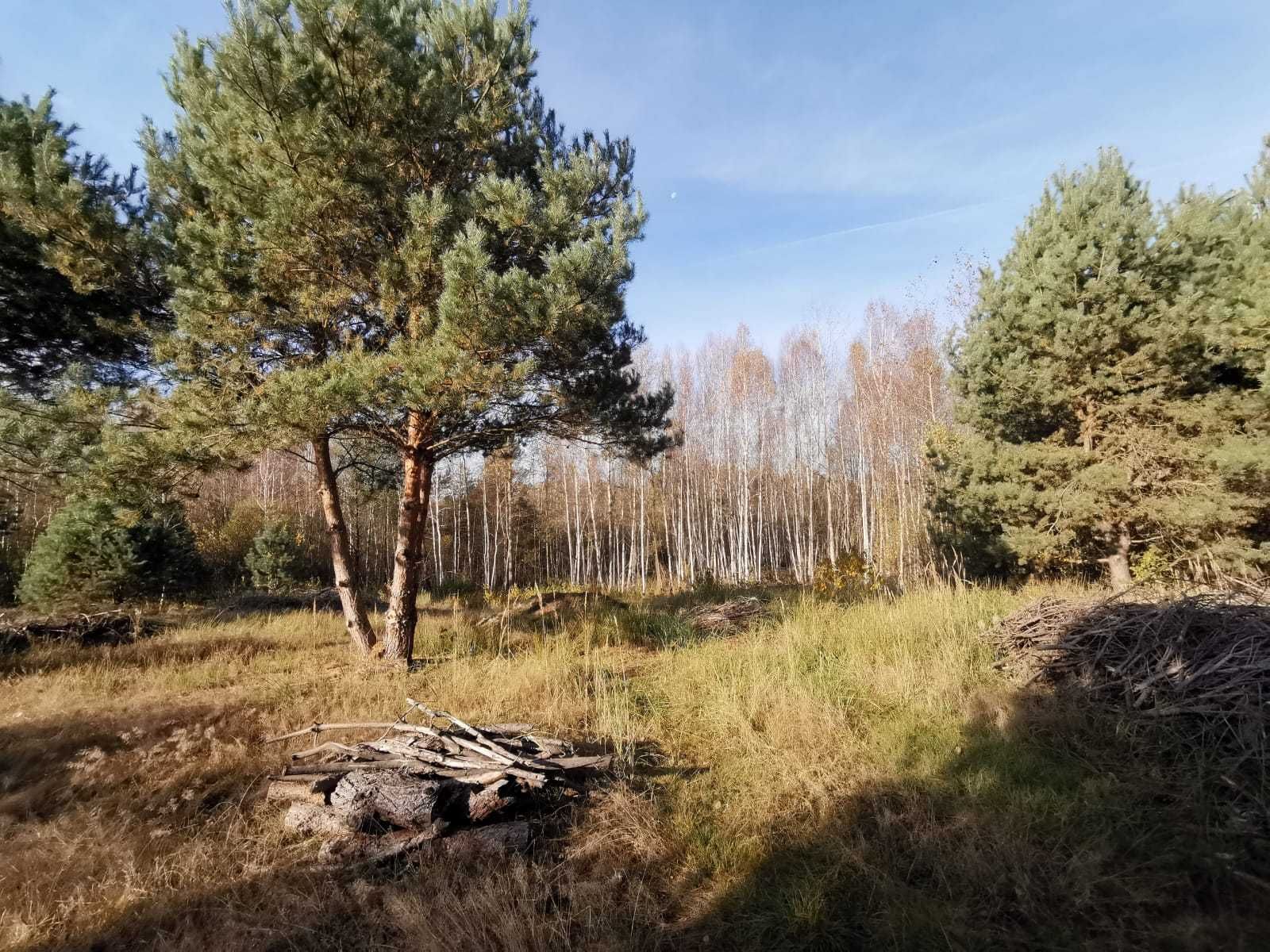 Działka budowlana w Ciekotach