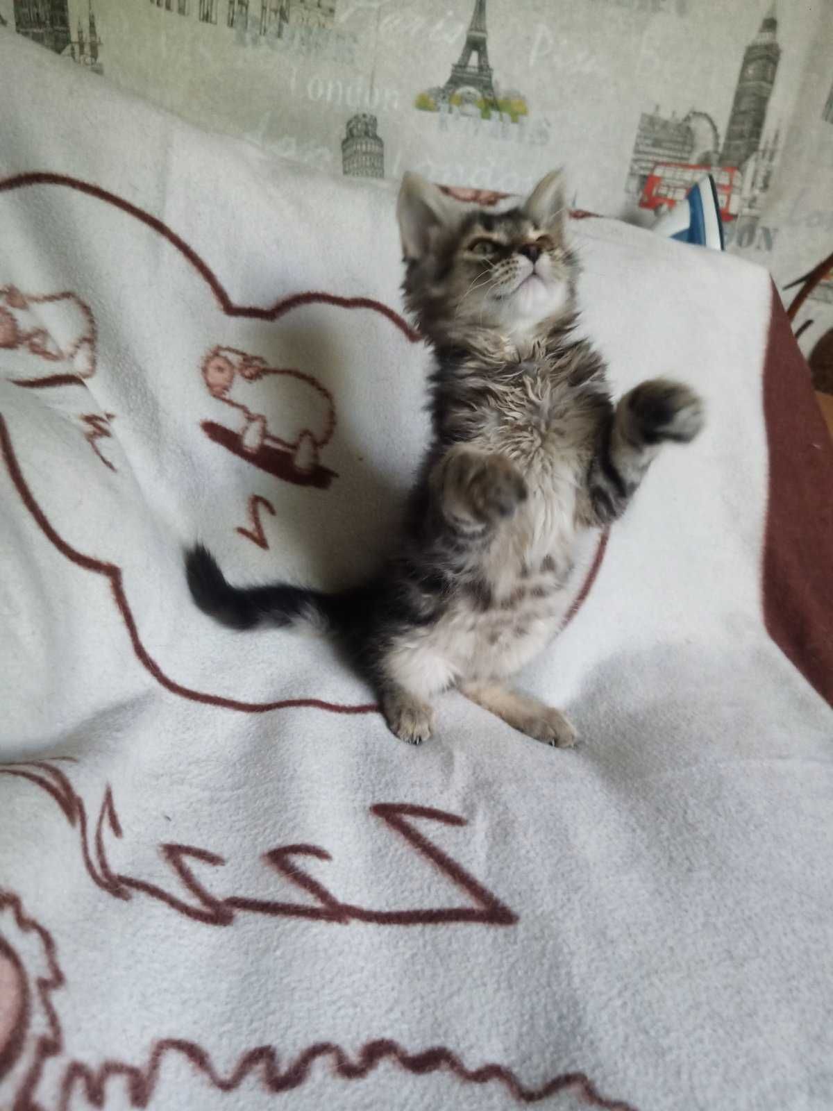 Хлопчик у добрі руки
