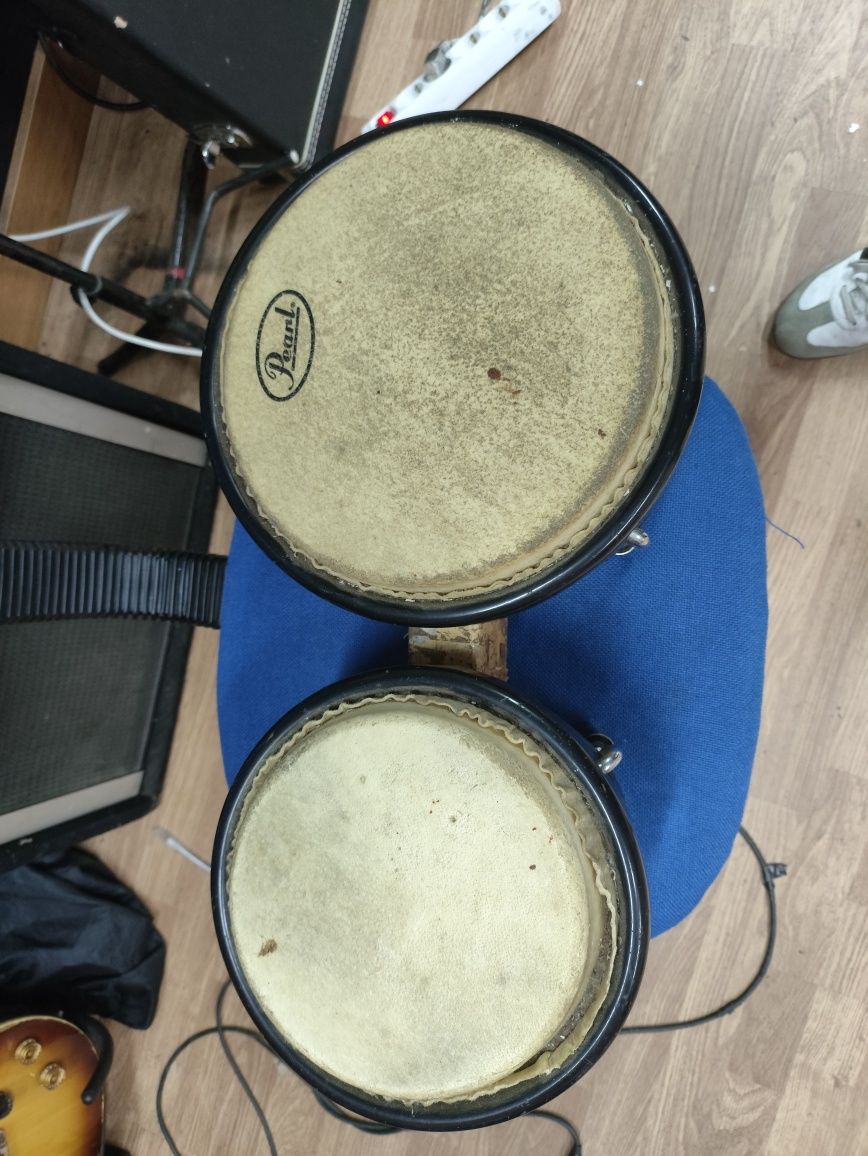 Bongós Pearl Primero