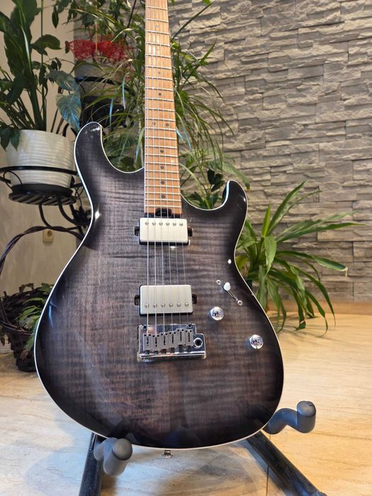 Cort G290 Fat II TBB