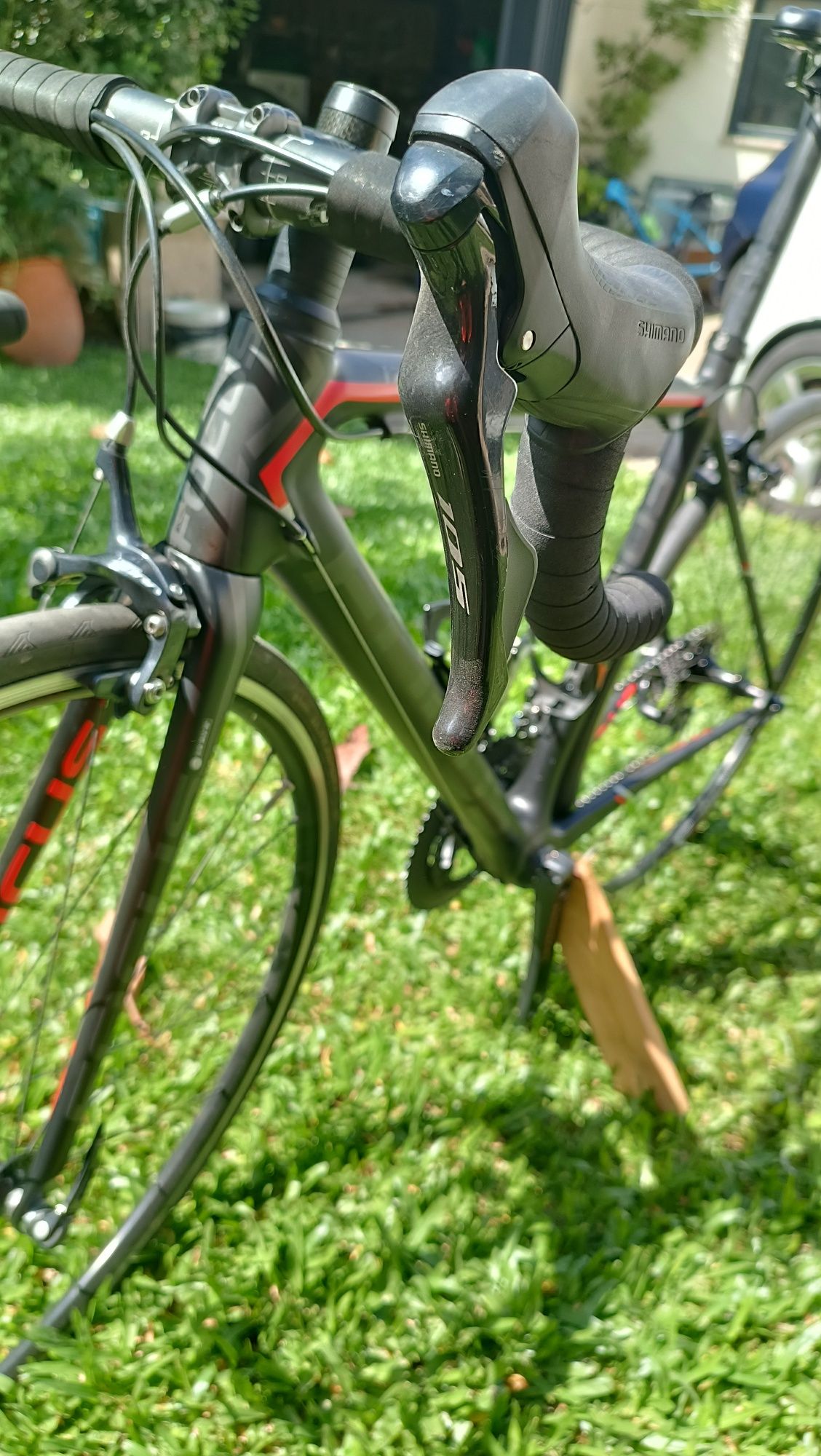 Focus Izalco max