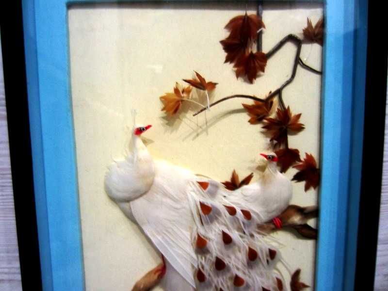 Винтажная рамка-витрина из настоящего павлиньего пера Перламутр