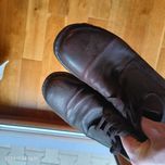 Buty Gino Rossi  Polecam.