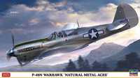 Hasegawa 07516 P-40N Warhawk 'Natural Metal Aces' 1/48