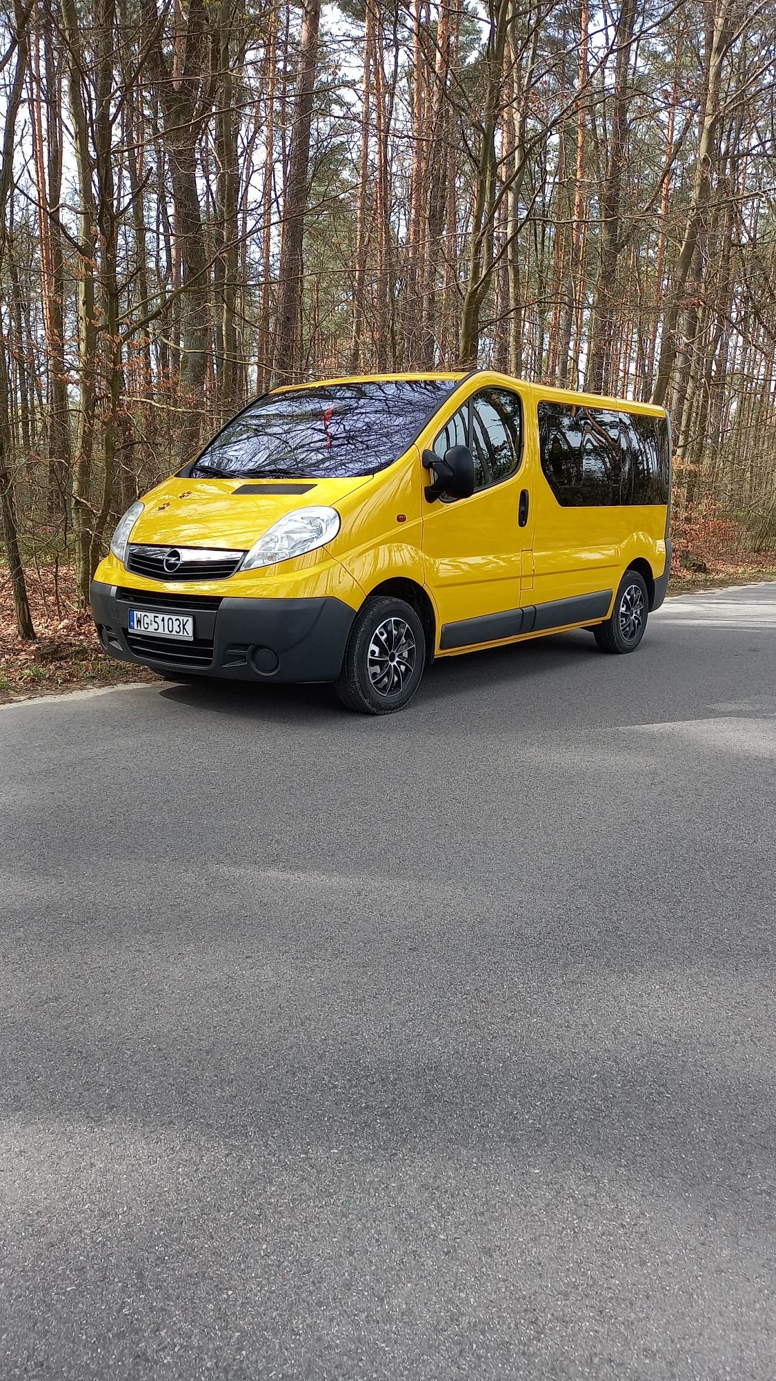 Opel vivaro trafic 2.0 renault