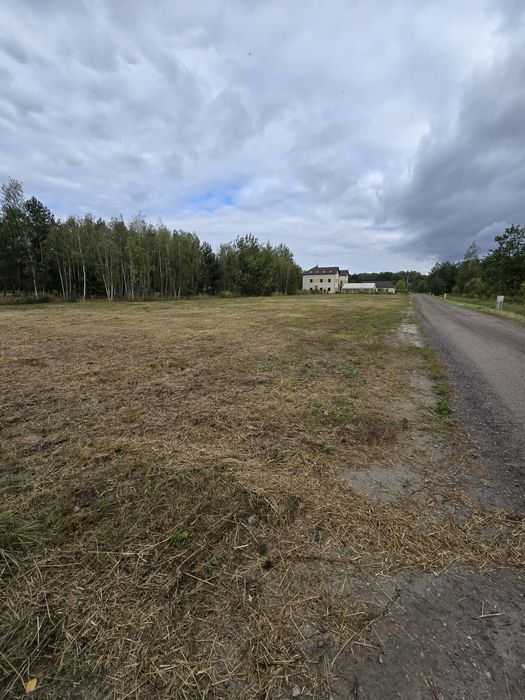 Koparki mini uslugi ziemne  i ogrodnicze wycinki karczowanie rębak