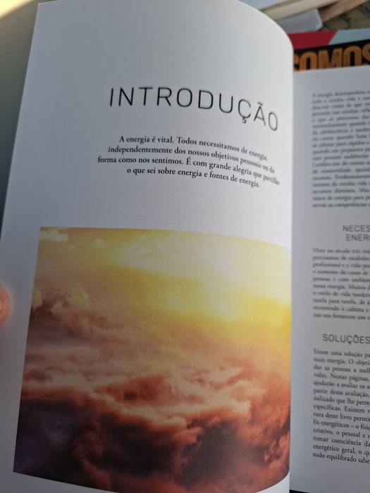 Livro Energia descubra o seu perfil de energia