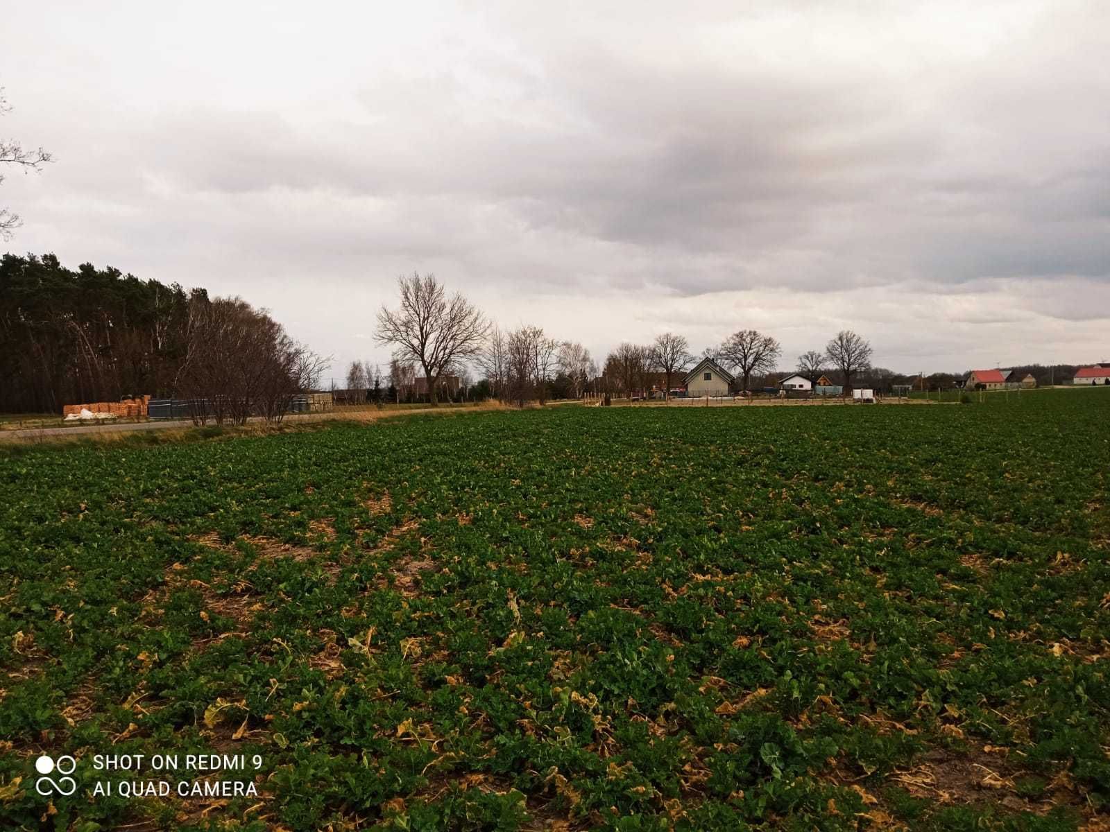 Działka budowlana - Rudniczyn koło Wągrowca - 1000 m2