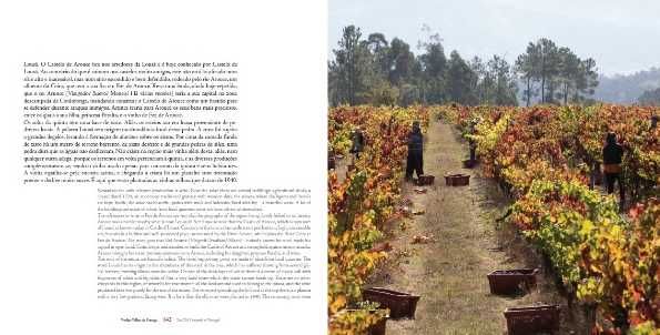 "Vinhas Velhas de Portugal" (The Old Vineyards of Portugal) - Novo