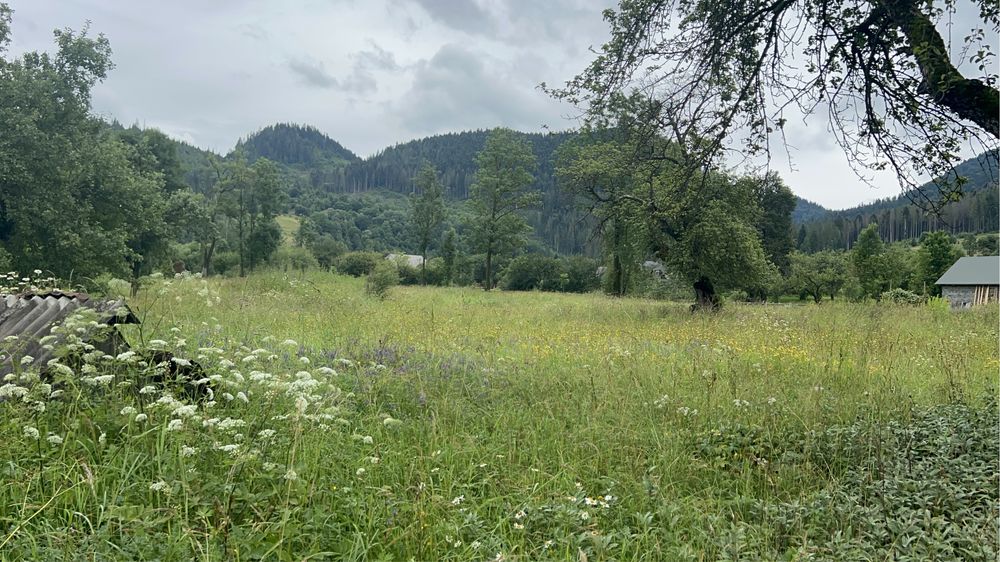 Продається ділянка у горах Закарпаття село Голятин