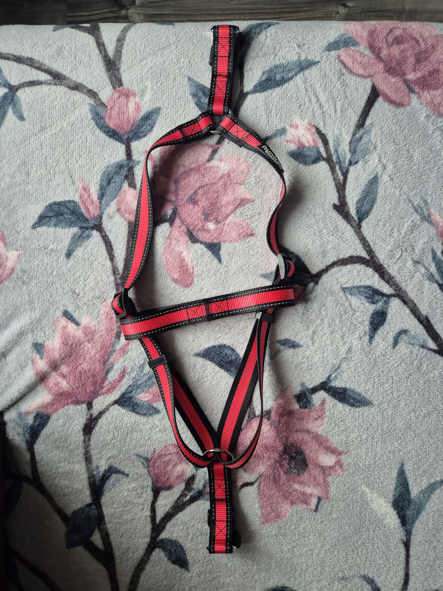 Szelki smycz dla psa nunbell