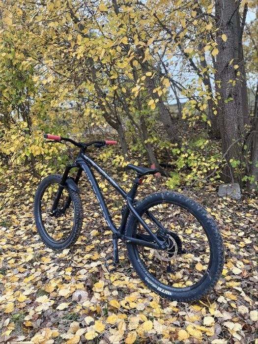 Dartmoor Hornet 2020 rama L