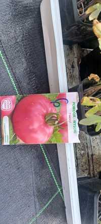Sadzonki pomidorów malinowych