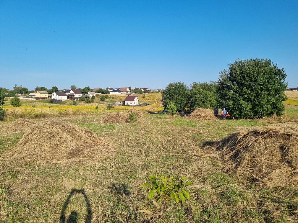 Віддам сіно Безкоштовно