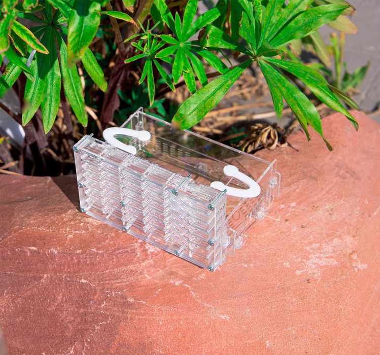 Вертикальная Муравьиная Ферма Дом Мессора КОМПЛЕКТ ДЛЯ НОВИЧКА